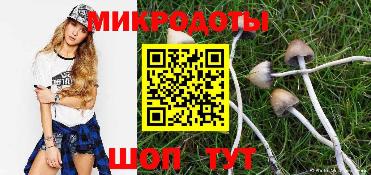 Бор  Галлюциногенные грибы мухоморы  Вход с VPN  Галлюциногенные грибы GOLDEN TEACHER 