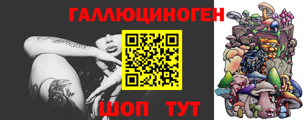 Псилоцибиновые грибы Psilocybe Бор